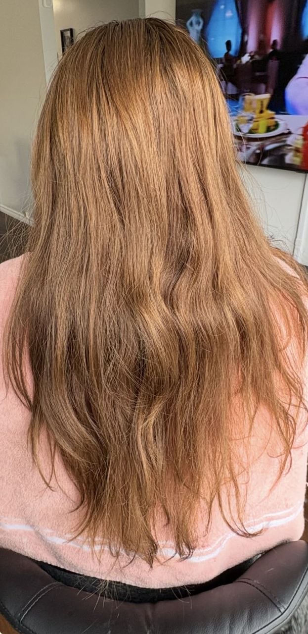 Before photo of long warm brown hair before colour and styling